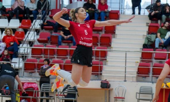 Pallavolo volley